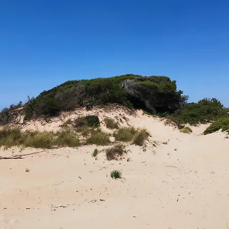 Le Dune A Mare 别墅