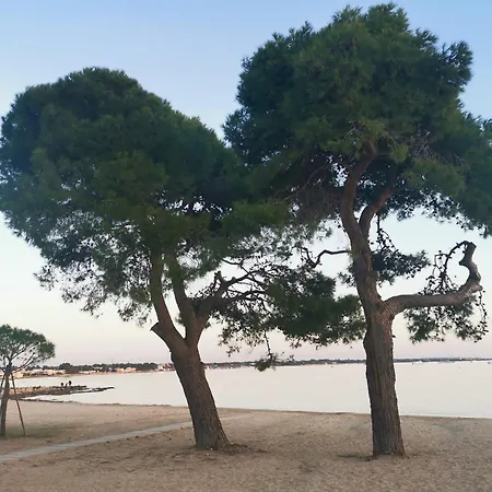 Вилла Le Dune A Mare *